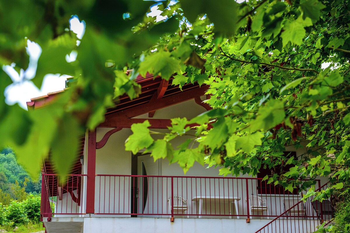 Image de profil de l’hôte