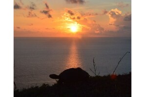 Espreguiçadeiras, toalhas de praia 