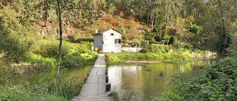 المنطقة المحيطة بالمنشأة