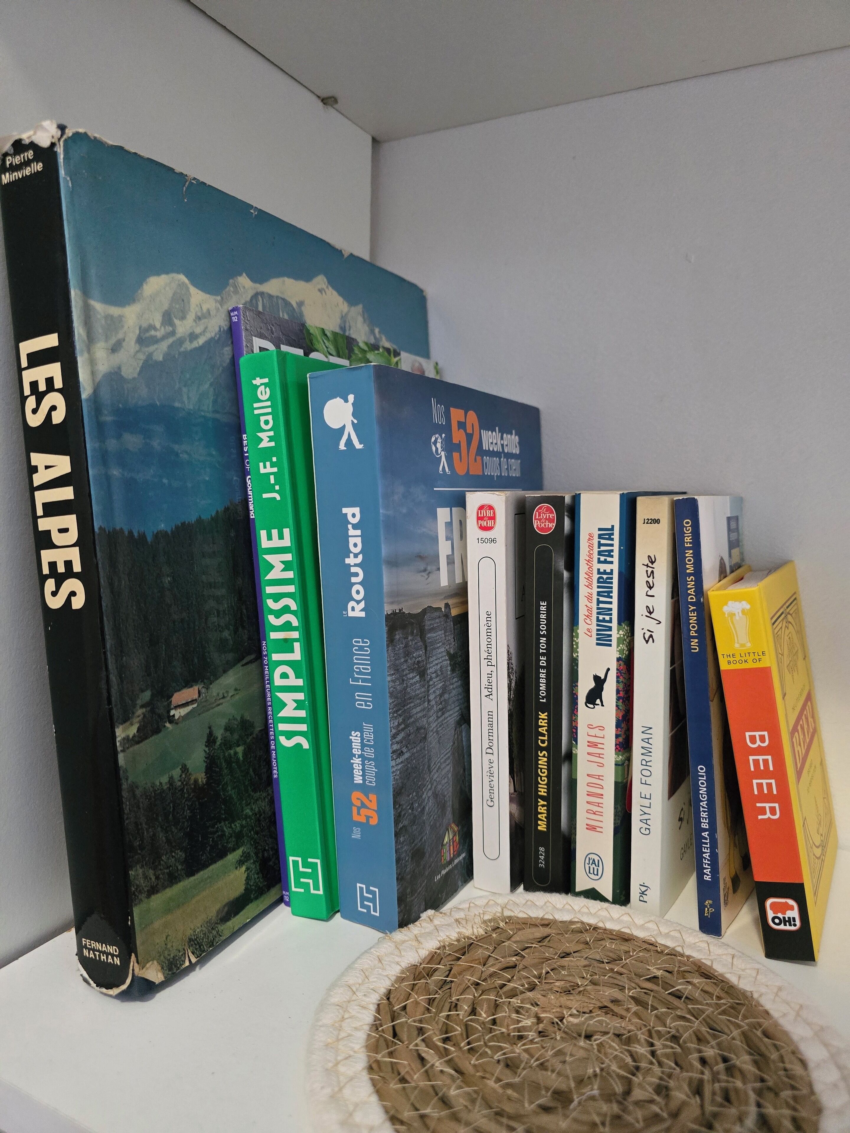 En bokhylla med olika typer av böcker, inklusive reseguider och skönlitteratur.