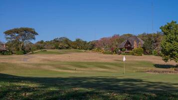 Golf view