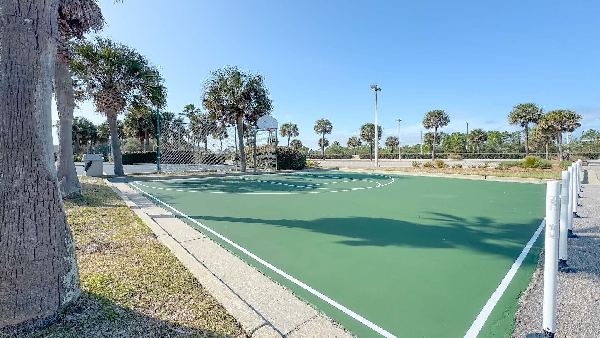 Una cancha de baloncesto al aire libre con superficie verde, rodeada de árboles y una valla.