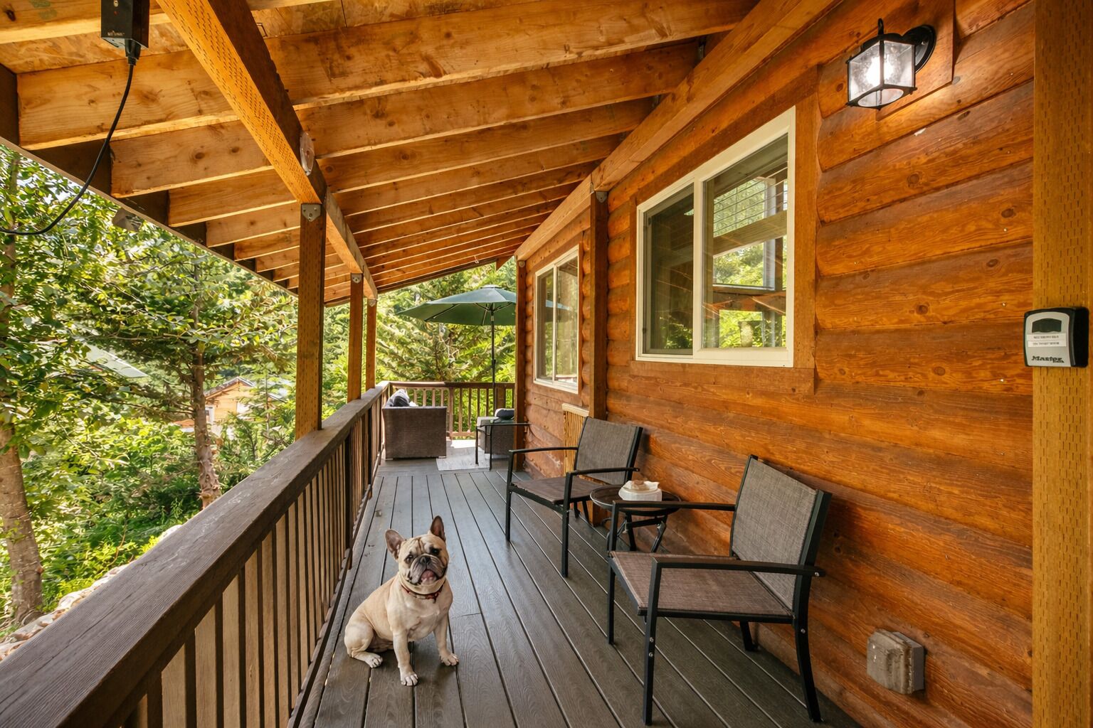 A wooden deck with a dog, outdoor furniture, and a view of greenery.