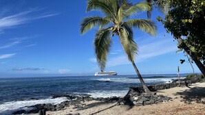 Een strand met een palmboom, een rotsachtige kustlijn en een cruiseschip in de verte.