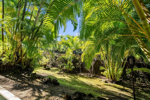 A lush garden with various tropical plants and a stone wall.
