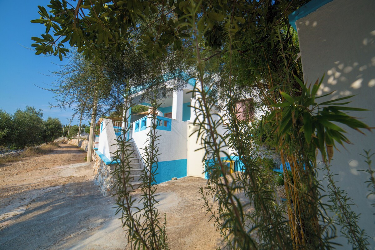 Imagen de perfil del propietario o de la propietaria