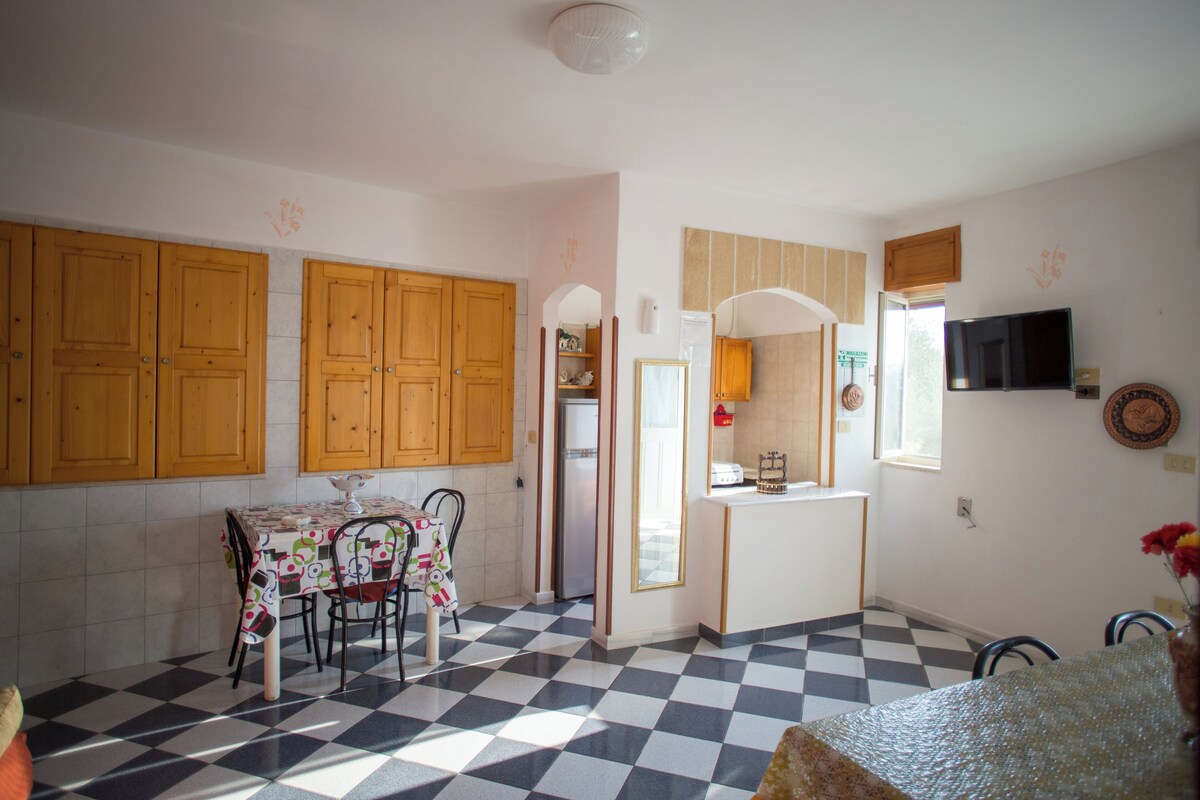 Imagen de perfil del propietario o de la propietaria