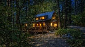 Eine Blockhütte mit Veranda und zahlreichen Fenstern, umgeben von dichtem Wald.