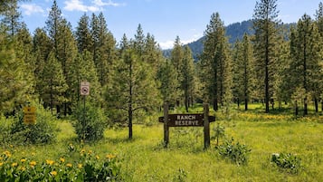 House, 3 Bedrooms | Property grounds