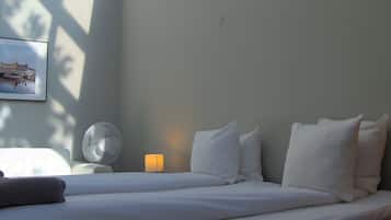 Big Double Room (with skywindow) | Ferro/asse da stiro, Wi-Fi gratuito, lenzuola