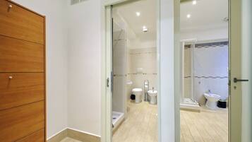 Shower, hair dryer, bidet, towels