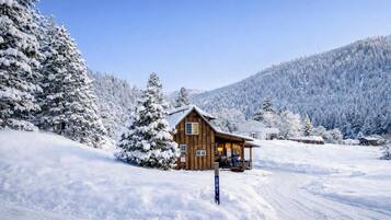 A wooden cabin with a porch, surrounded by snow-covered trees and a mountain in the background.