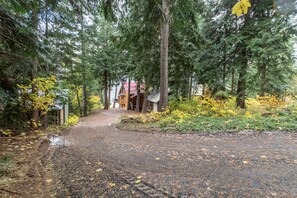 Une zone boisée avec un sentier de terre menant à un chalet.