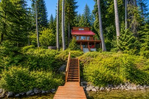 A wooden staircase leading to a cabin surrounded by dense forest.