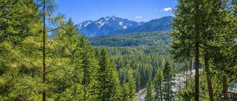 Cabane, 1 chambre | Enceinte de l’hébergement