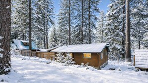 Una baita con tetto in metallo circondata da alberi innevati.