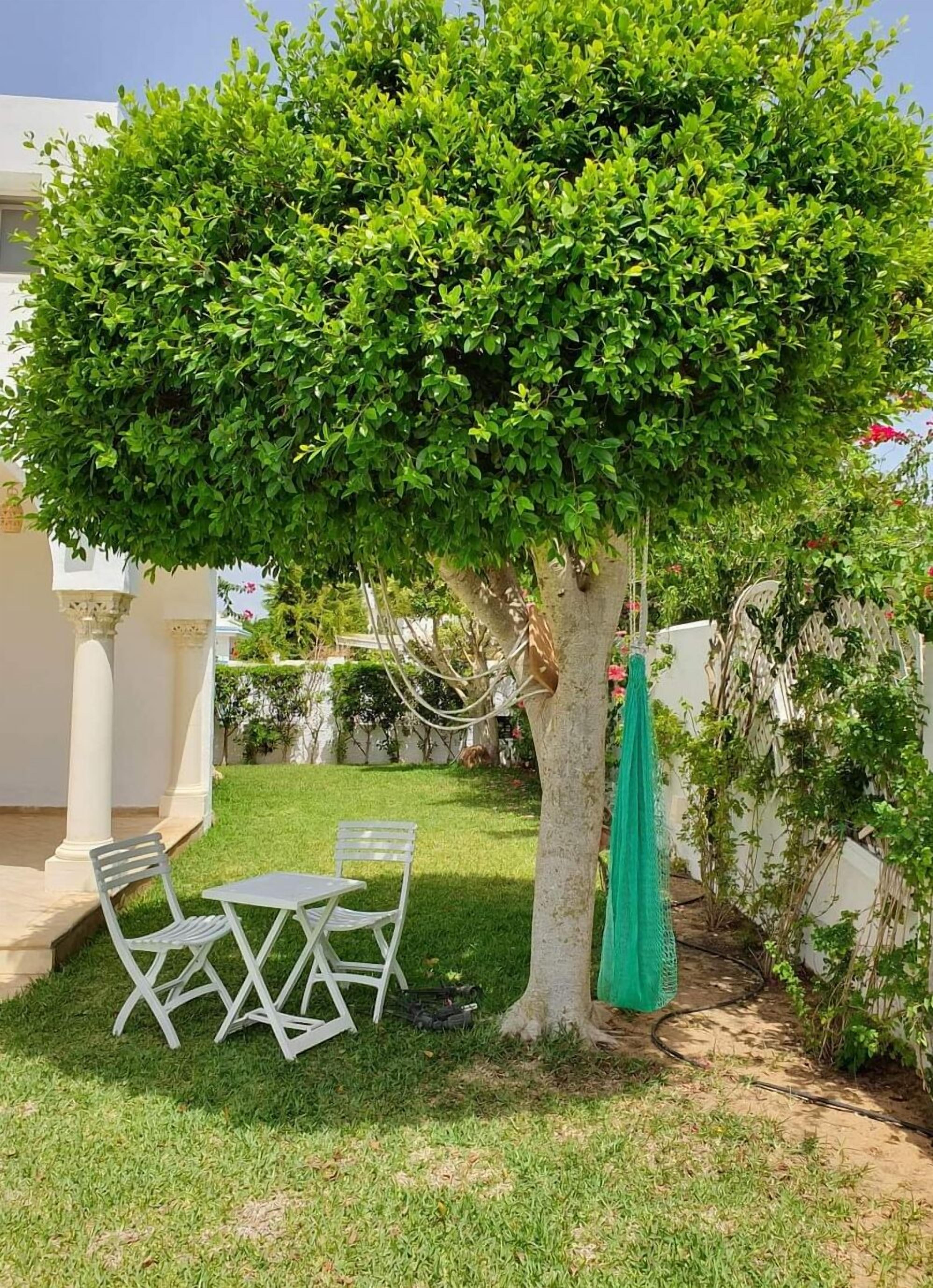 テラス / パティオ