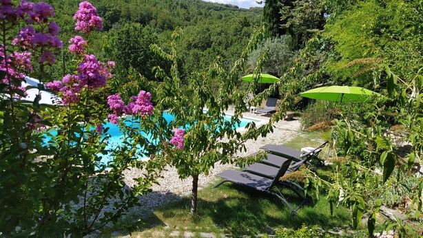 A pool area with lounge chairs and umbrellas, surrounded by lush greenery and hills in the background. - Charming detached house with terrace in a farmhouse with swimming pool and garden (Vesseaux)