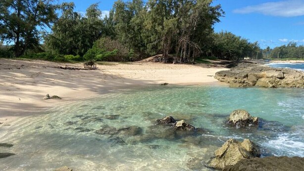 Una playa con agua cristalina, rocas y árboles.