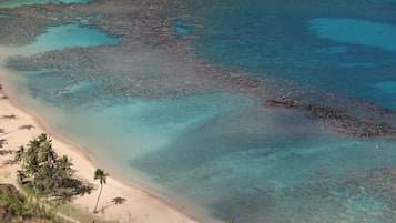 Beach nearby, sun-loungers, beach towels