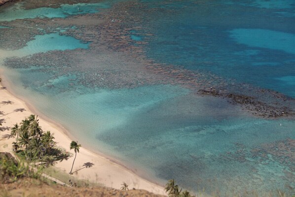 Ubicación cercana a la playa, tumbonas y toallas de playa