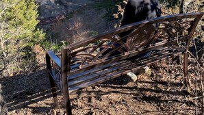 Una persona asseguda en un banc metàl·lic en una zona boscosa.