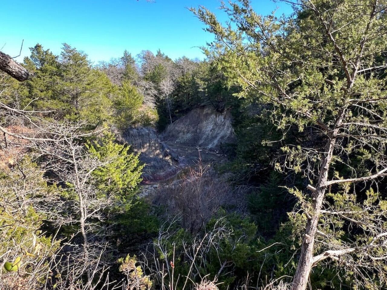 A natural landscape with dense foliage and a rocky outcrop.