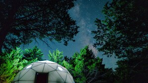 A geodesic dome structure surrounded by trees under a starry night sky. - The Starman Dome (Saint Jo)