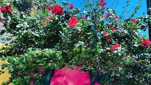 Um mural com uma grande rocha na base, flores vibrantes e um céu azul claro ao fundo.