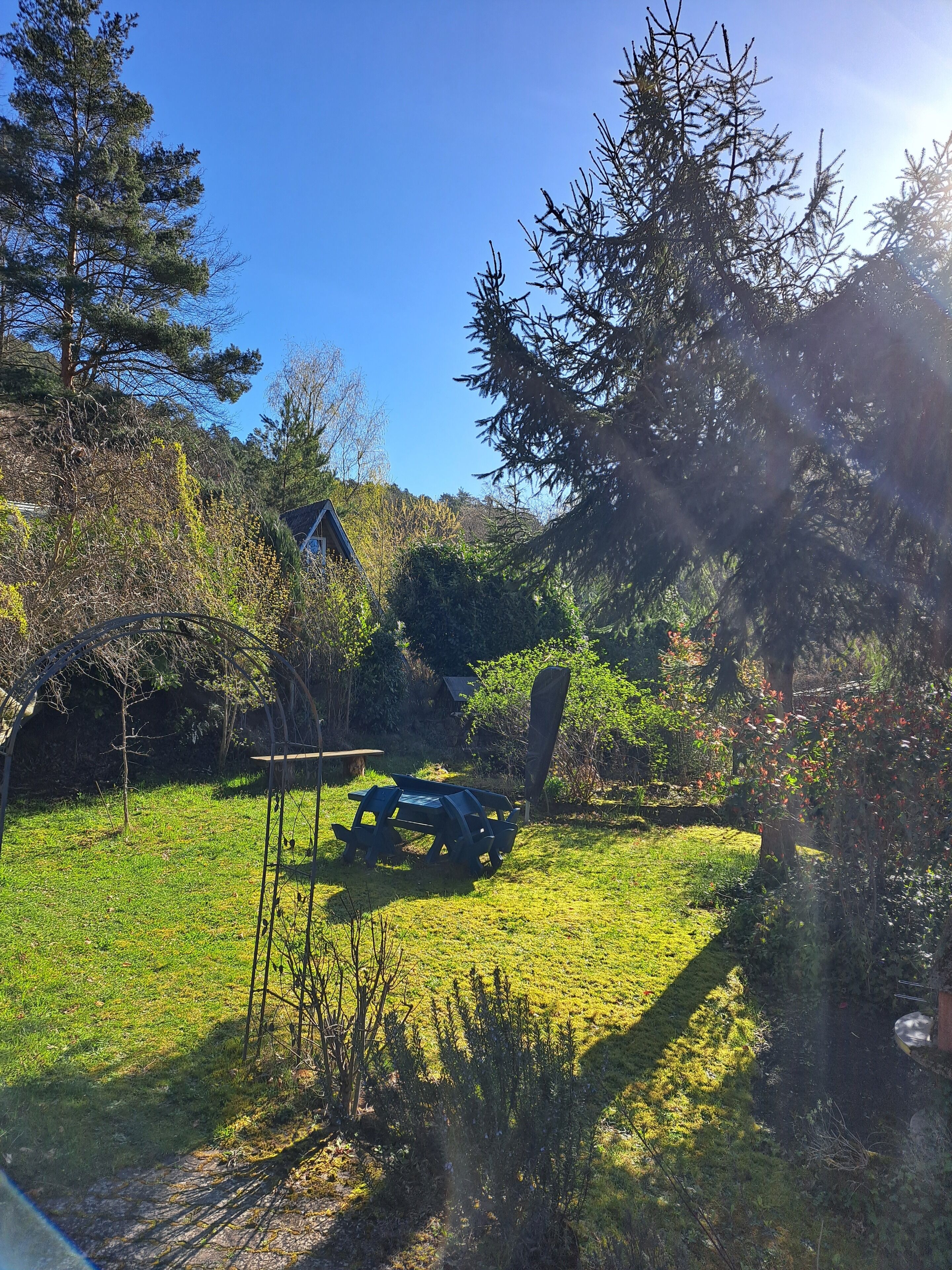 Un espacio al aire libre con césped, una mesa de picnic y una estructura de madera, rodeado de árboles y vegetación.