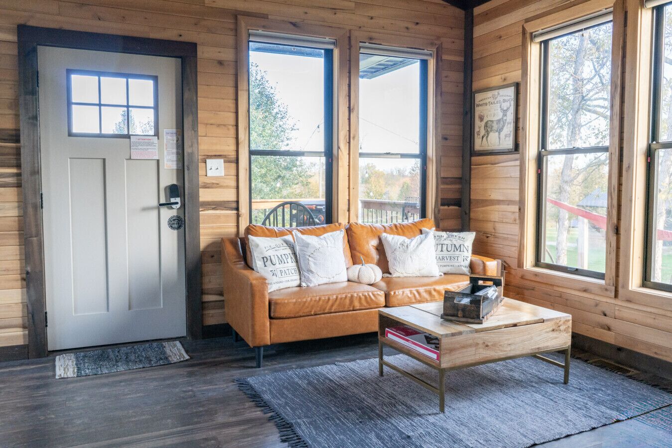 Televisión y estéreo 