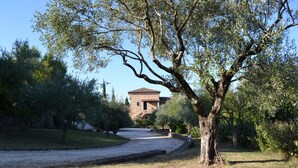 A gravel path leading to a stone building with a tiled roof, surrounded by olive trees and greenery. - Le Mas du Colombier - Les Vans - Ardèche Méridionale (Les Vans)