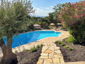 A swimming pool with a stone pathway leading to it, surrounded by greenery and a small building with a tiled roof.