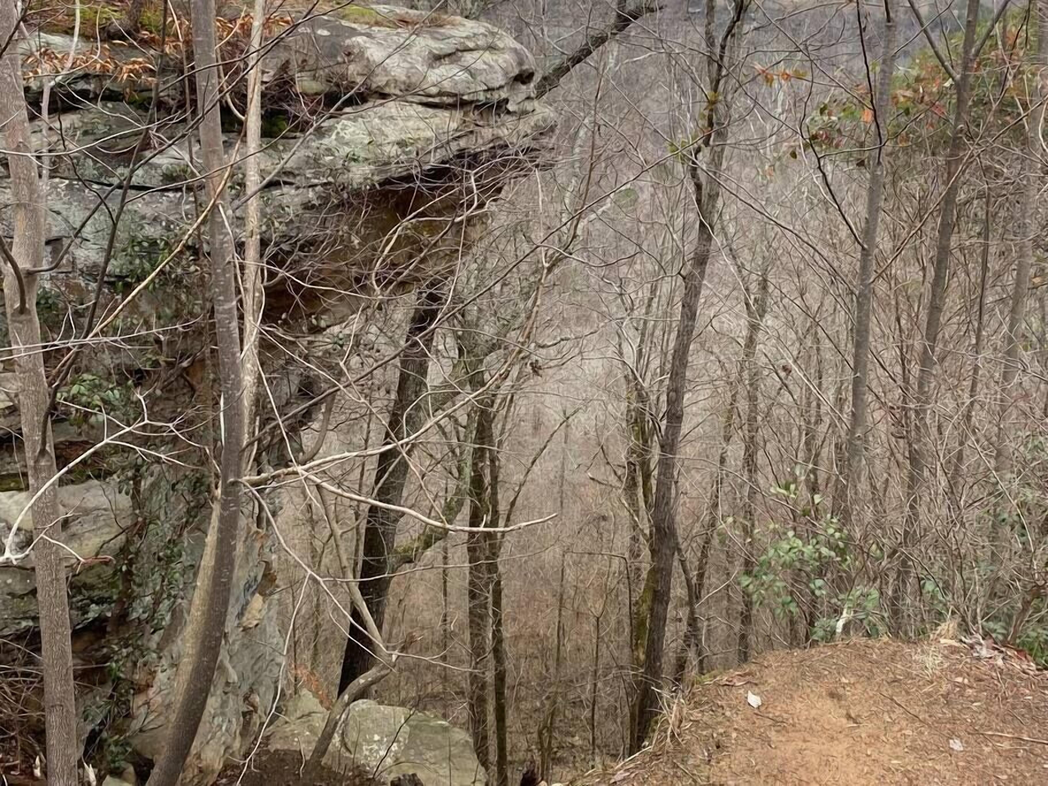 A rocky terrain with sparse vegetation and trees.