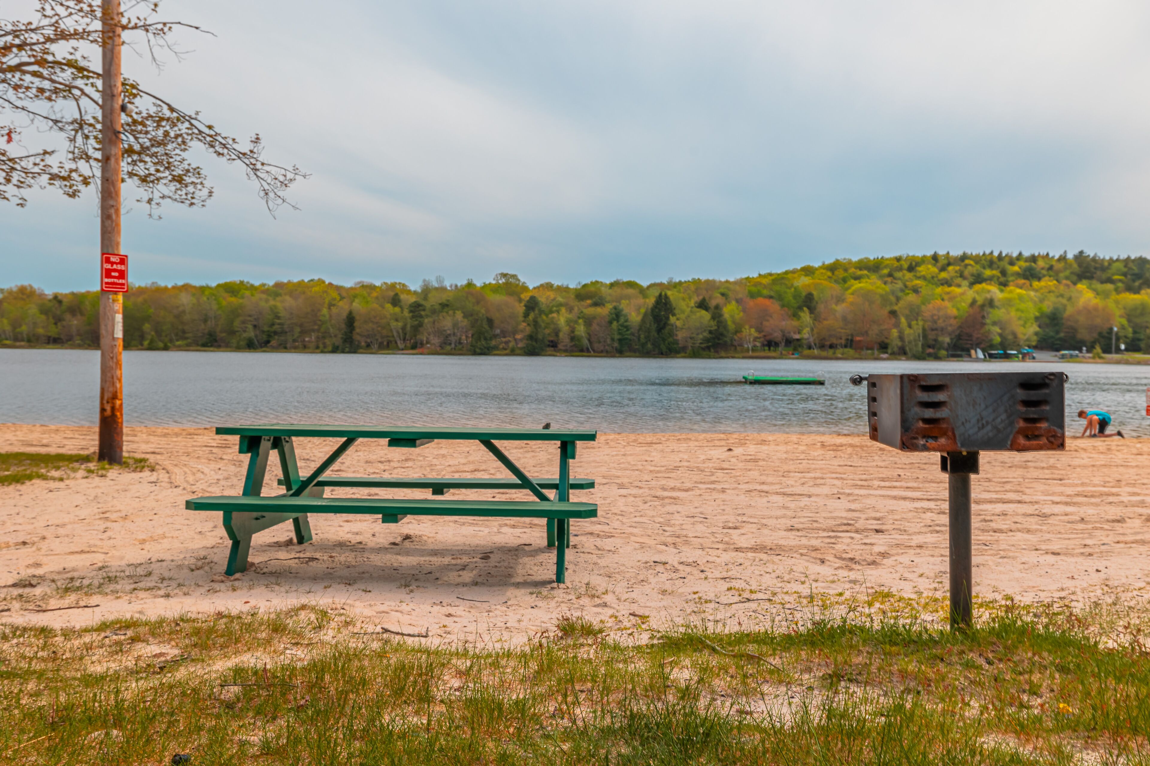 A picnic table and a trash bin on a sandy beach with a lake and forest in the background.