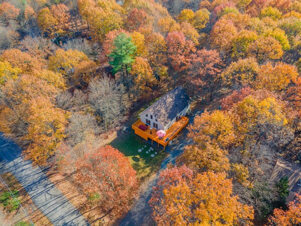 Exterior - "Grand Antilia" 6BR Hot Tub,GameRoom, Minigolf & BonusRoom (Blakeslee)