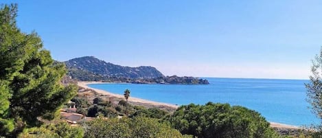 A coastal landscape with a beach, trees, and a clear sky.