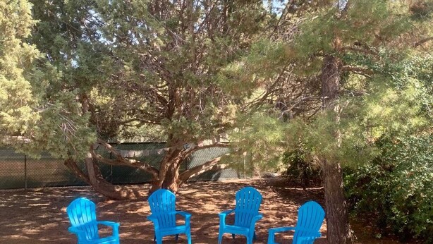 Ein Sitzbereich mit vier blauen Adirondack-Stühlen unter einem großen Baum, umgeben von einem Zaun und dichtem Grün.