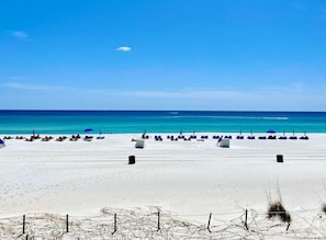 Une plage bordée de rangées de transats et de parasols, un ciel dégagé et l’océan en toile de fond.