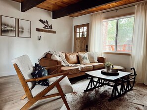 Smart TV, fireplace, books