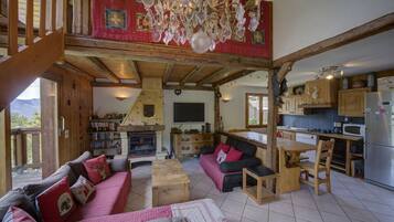 TV, fireplace, DVD player, books