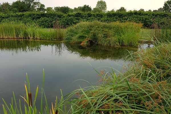 Terrein van de accommodatie