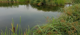 Göpelhaus/ 1st floor with lounge in the Landhaus Elbwiesen for max. 28 pers.