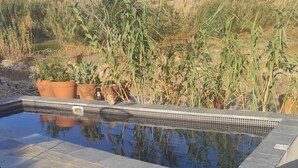 Piscina com ladrilhos de pedra e plantas em vasos ao redor.