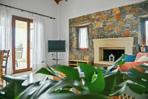 Télévision, cheminée, livres, chaîne hi-fi