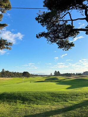 Golf - The Blue Door Beach Cottage: 4 BDRM/2 Bath/Large Yard, Dog Friendly (Gearhart)