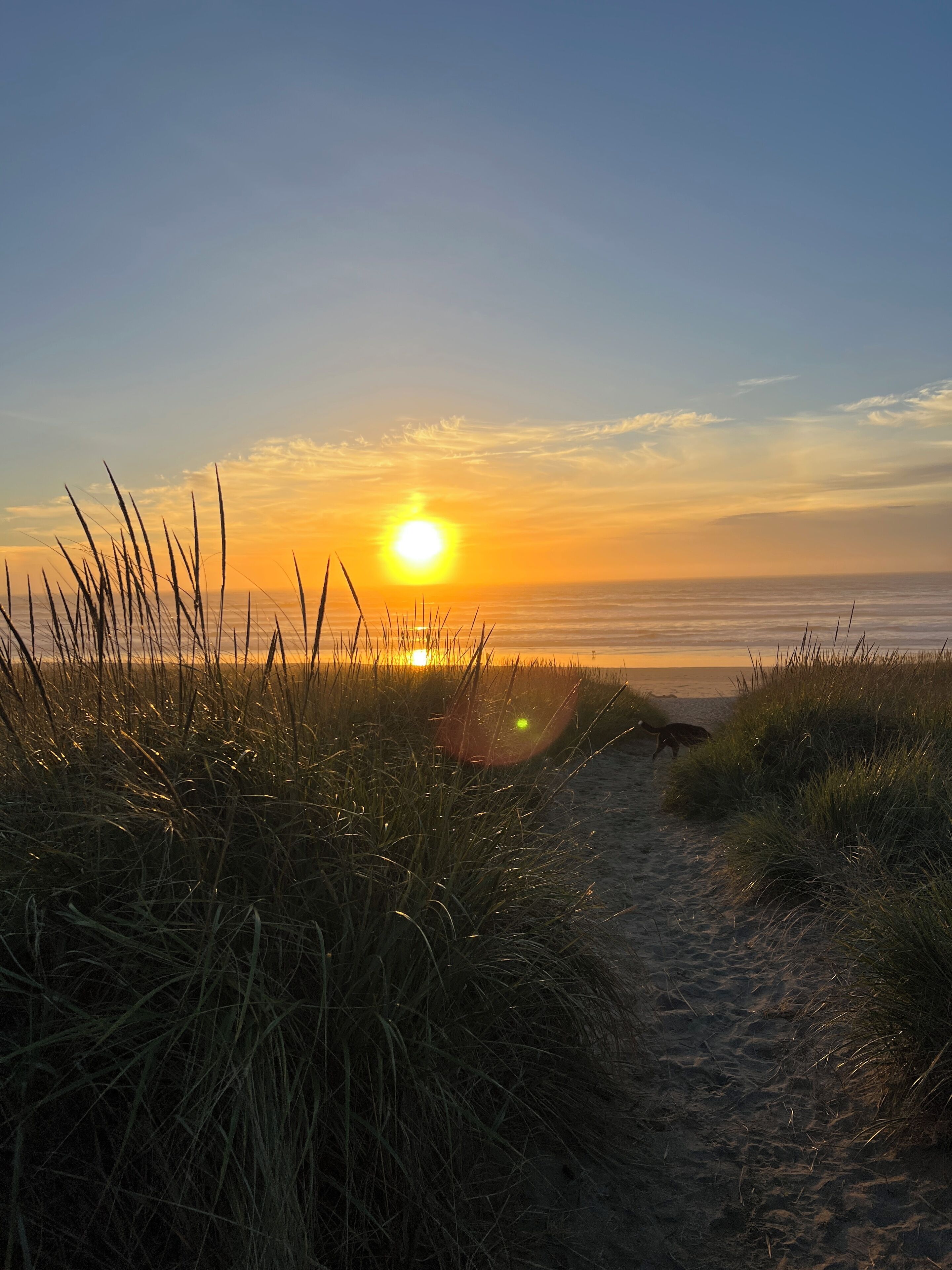 Sun loungers, beach towels