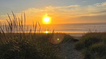 Sun loungers, beach towels