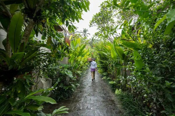 Property grounds - UB1016-1 Bedroom Private villa in Ubud (Bali)