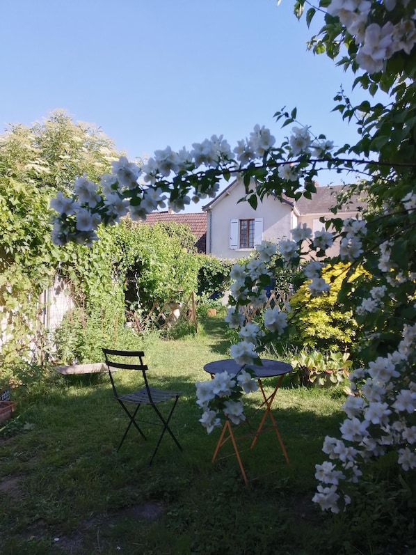 A garden with a bench and a table, surrounded by white flowers and greenery.